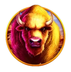 Buffalo
King